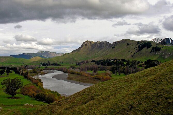 Wine & Sightseeing Cruise Tour 2.5hr | Award Winning Experience - Transportation and Comfort