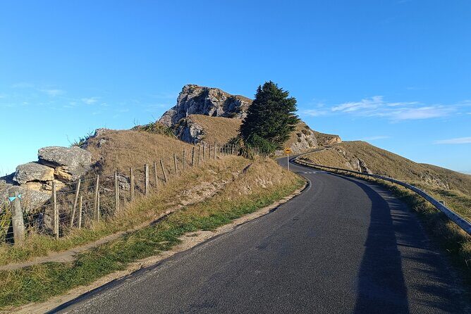 Wine & Sightseeing Cruise Tour 2.5hr | Award Winning Experience - Guides and Personal Touches