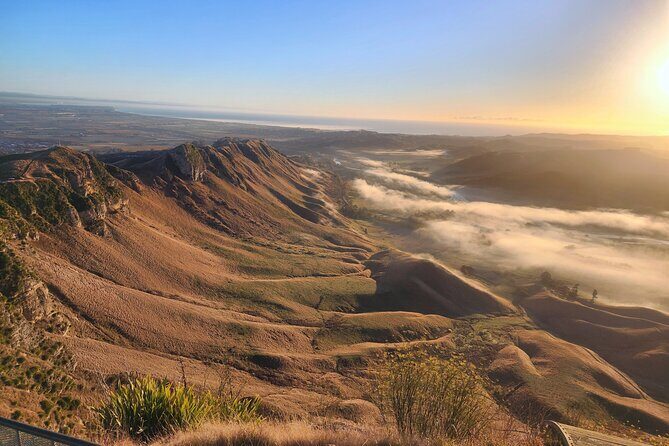 Wine & Sightseeing Cruise Tour 2.5hr | Award Winning Experience - Accessibility and Additional Info