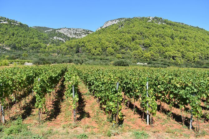Wine & Sightseeing Tour Korcula - Discovering Korcula Through Wine & Scenic Views: A Detailed Review