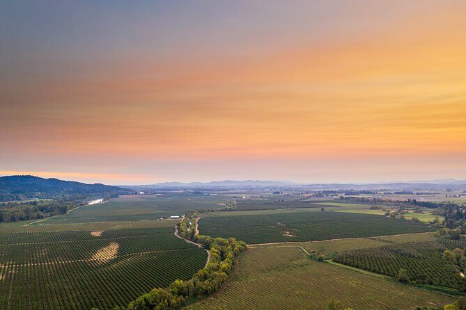 Wine, Stables and Classic Cars Willamette Valley Tour Experience - A Detailed Look at the Tour Itinerary