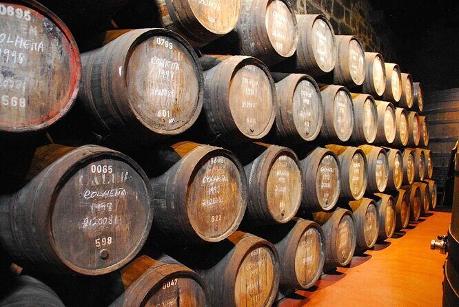 Wine, Tapas and Winery Tour - Key Points