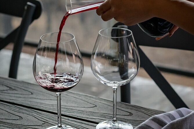 Wine, Tapas and Winery Tour - A Deep Dive into the Porto Wine, Tapas, and Winery Tour