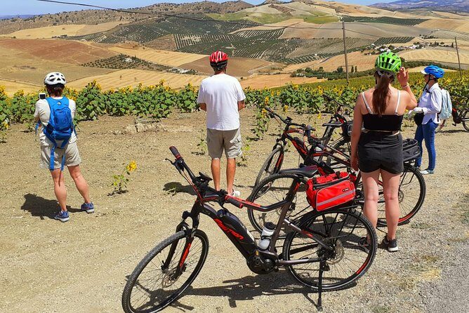 Wine, Tapas & Lake Zahara by e-bike incl Ronda pickup (full day) - Final Thoughts