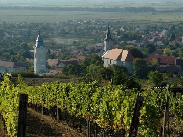 Wine taste in Tokaj Private Day Tour from Budapest - The Practical Side: Logistics and Inclusions