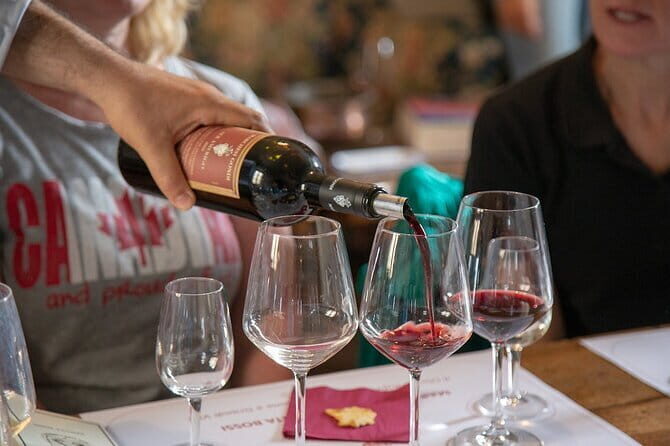 Wine Tasting Activity at Chianti Rufina - An In-Depth Look at the Chianti Rufina Wine Tasting Tour