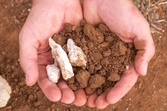 Wine Tasting Activity at Rymill Coonawarra - Why Visitors Keep Coming Back: Authentic Praise from Travelers