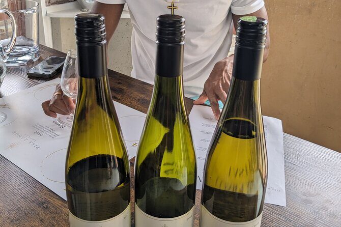 Wine Tasting Adventure Wanaka and Beyond - Who Will Love This Tour?