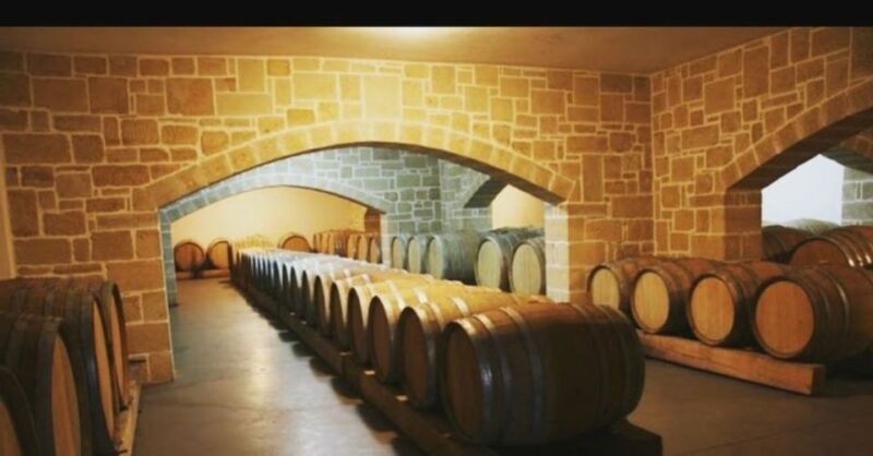 Wine Tasting & Ancient Olive Tree 3 Hours Tour Private - Who Will Love This Tour?