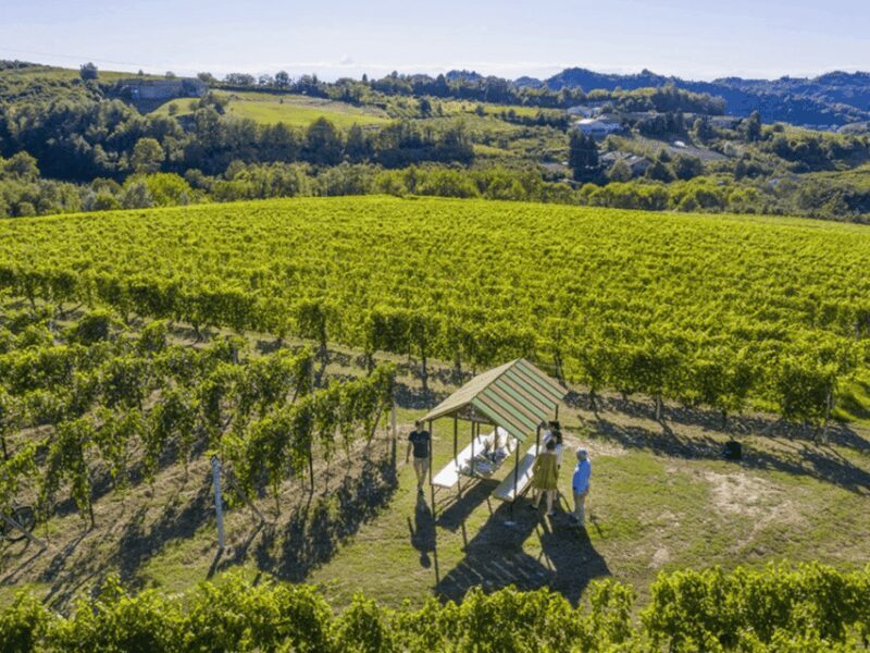 Wine Tasting and Food Pairings in Langhe and near Alba - Key Points