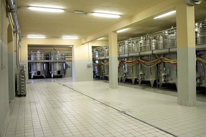 Wine tasting and guided tour of the cellar - FAQ