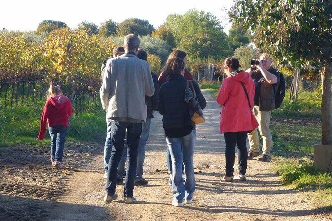 Wine Tasting and Guided Visit to the Vineyard and Cellar in S. Maria Imbaro - A Closer Look at the Experience