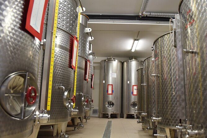 Wine Tasting and Guided Visit to the Vineyard and Cellar in S. Maria Imbaro - FAQ