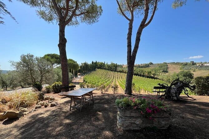 Wine Tasting and History Guided Day Tour in Chianti - Key Points