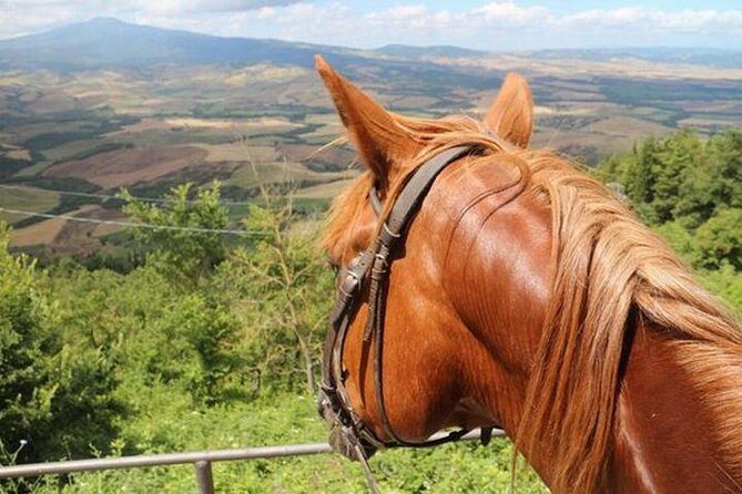 Wine tasting and horseback riding in Montepulciano, in Tuscany from Rome - Key Points