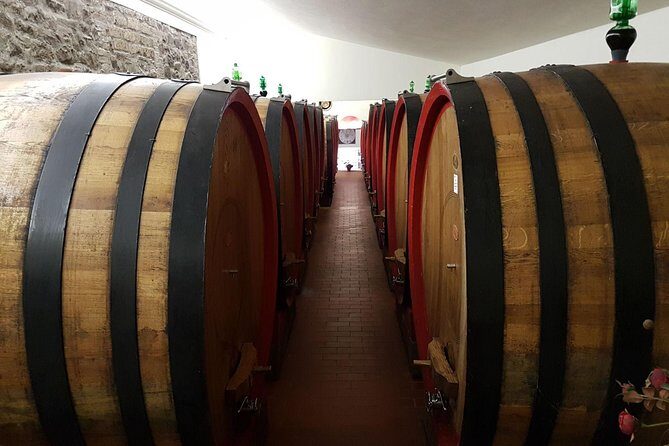 Wine tasting and horseback riding in Montepulciano, in Tuscany from Rome - A Deep Dive Into the Experience