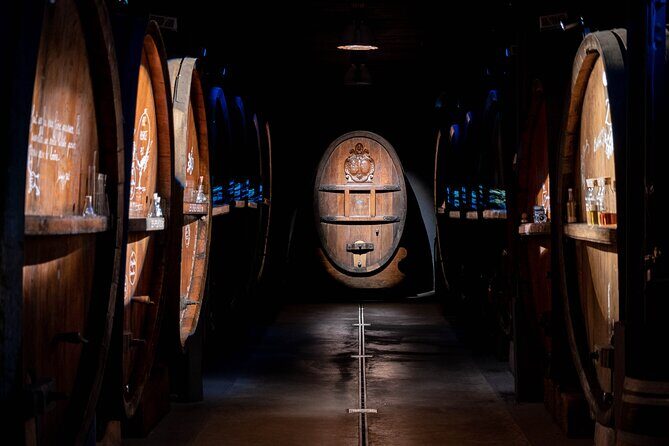 Wine tasting and immersive cellar tour - Final Thoughts: Is This Tour Worth It?
