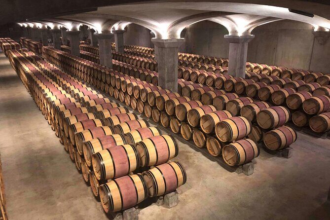 Wine Tasting and lavender Farm Tours - What Travelers Say: Insights from Reviews