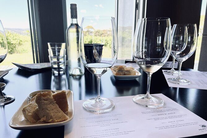 Wine Tasting and Lunch Private Tour in McLaren Vale - The Itinerary: A Deep Dive