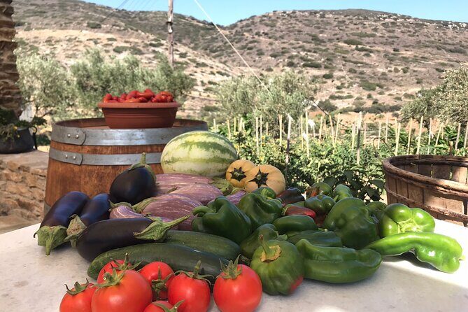 Wine Tasting and Tour in Saint Anna Winery in Naxos - The Sum Up: Is It Worth It?