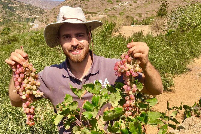 Wine Tasting and Tour in Saint Anna Winery in Naxos - FAQ