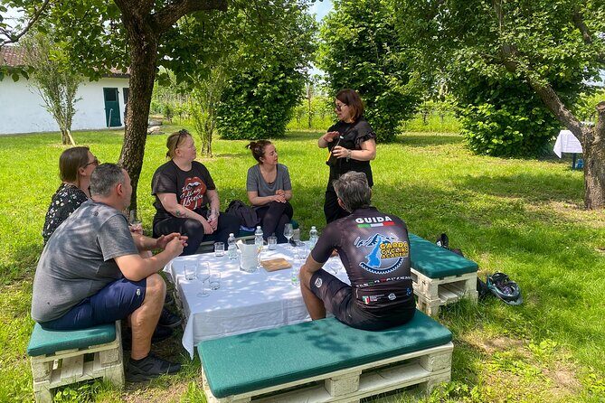 Wine Tasting and Tour of Lugana Wines in Sirmione - An In-Depth Look at the Experience