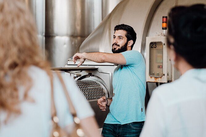 Wine tasting and winery tour at Fikardos Winery - The Sum Up