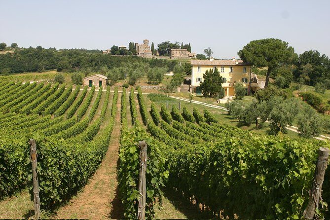Wine Tasting and Winery tour - Exploring the Wine Tasting and Winery Tour Near Orvieto