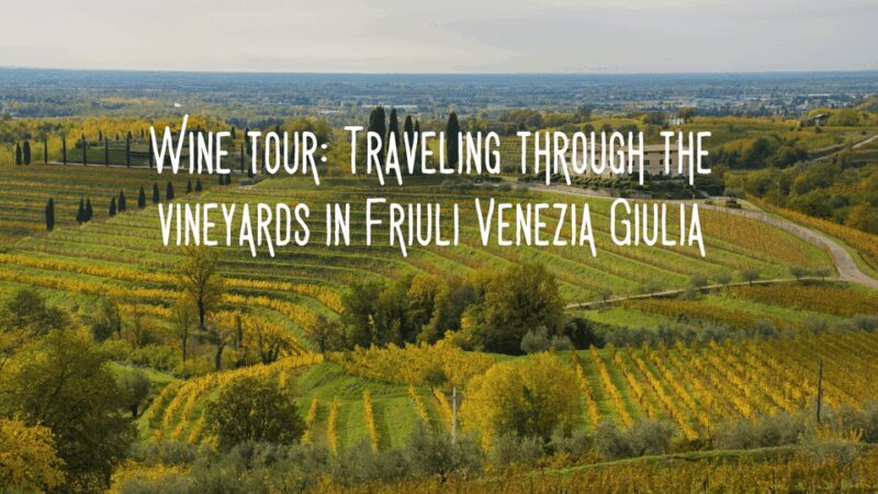 Wine tasting and winery tour in Friuli Venezia Giulia - Discovering the Best of Friuli Venezia Giulia’s Wines: A Practical Guide