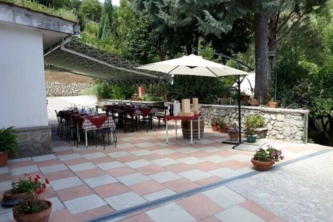 Wine Tasting at Basileo Cellar with Lunch - Key Points