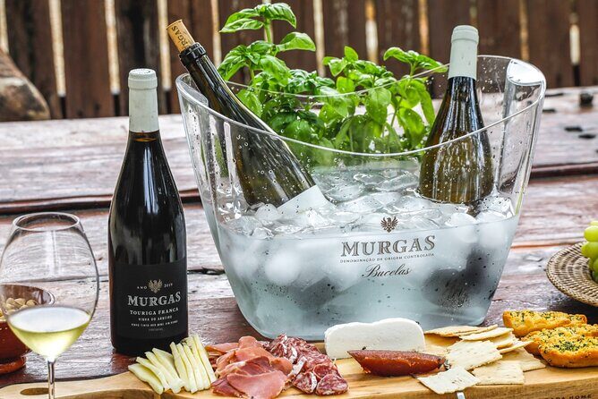 Wine tasting at Quinta das Murgas - Exploring the Wine Tasting at Quinta das Murgas: A Practical Review