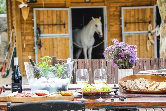 Wine tasting at Quinta das Murgas - Key Points