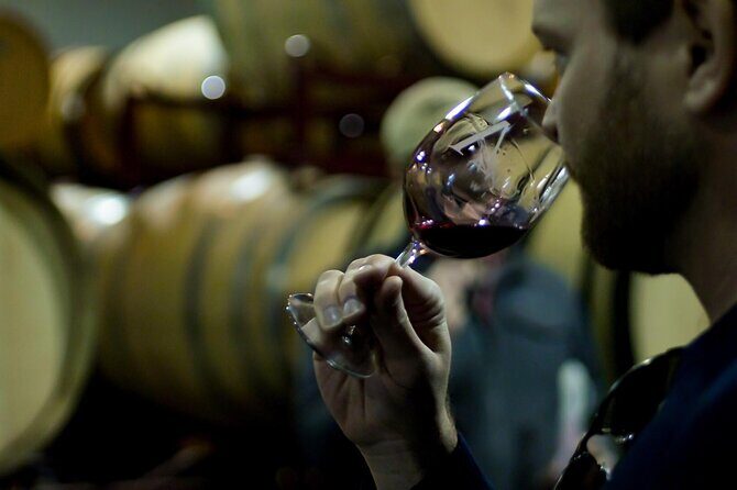 Wine Tasting Audio Tour - Amador County CA - Who Should Consider This Tour?