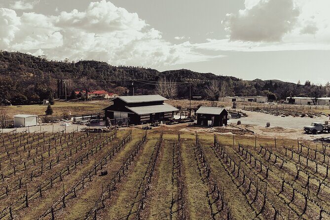 Wine Tasting Audio Tour - Calaveras County - Authenticity and Local Flavor