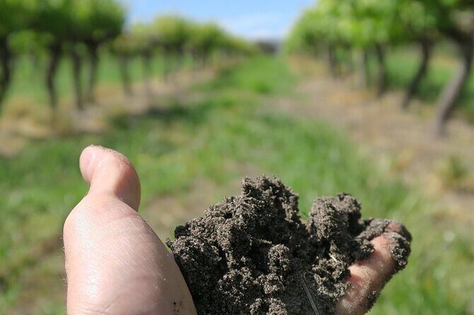 Wine Tasting Audio Tour - Lodi California - Introduction