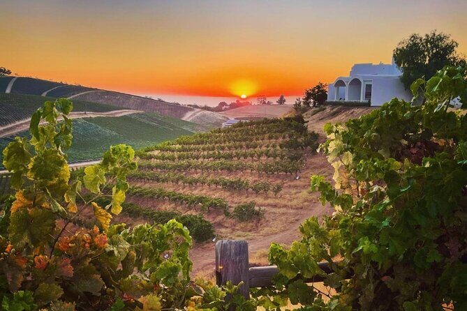 Wine Tasting Audio Tour - Paso Robles CA - An In-Depth Look at the Experience