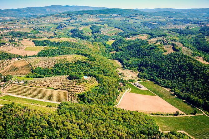 Wine Tasting by CarusVini in San Casciano in val di Pesa - An In-Depth Look at the Experience