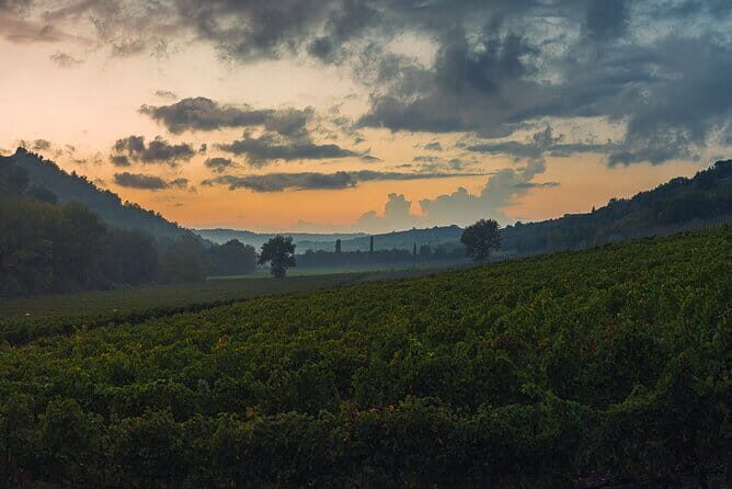 Wine Tasting by CarusVini in San Casciano in val di Pesa - Practical Details for Planning Your Visit