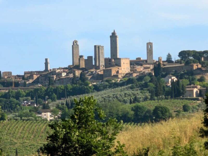 Wine Tasting - Essenza Toscana - The Wines in Detail and Why They Matter