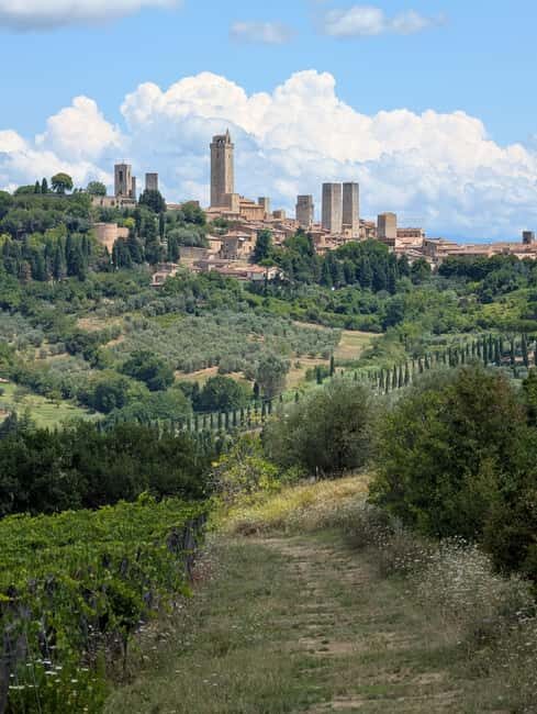 Wine Tasting - Essenza Toscana - Why This Experience Offers Great Value