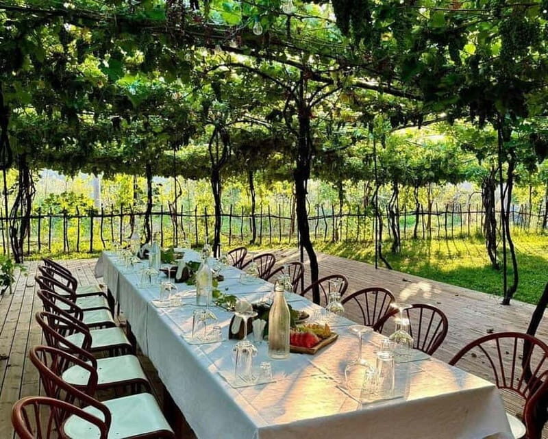 Wine Tasting Experience at Alpeta Winery - Wine Tasting Experience at Alpeta Winery