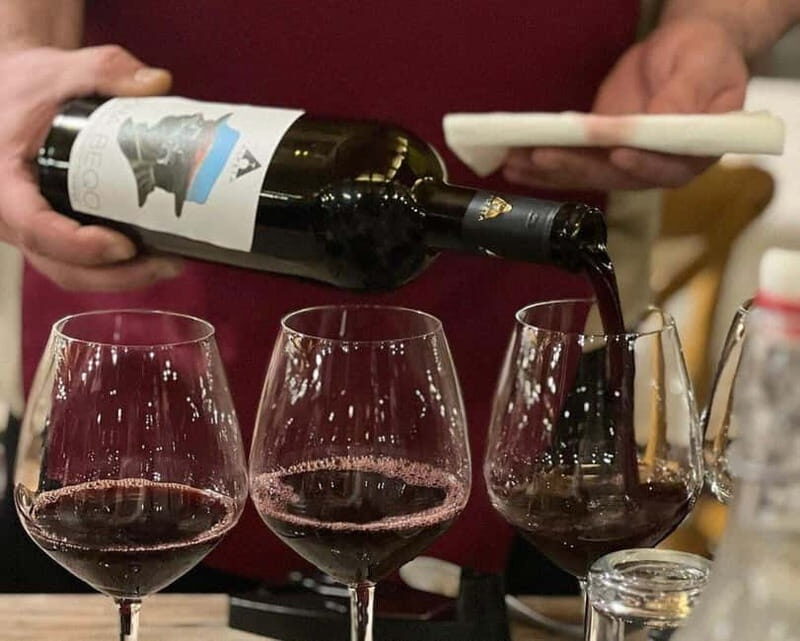 Wine Tasting Experience at Alpeta Winery - Who Will Love This Tour?