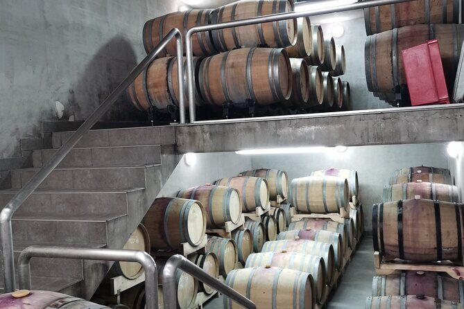 Wine Tasting Experience at the organic winery in ian - Is This Tour Right for You?