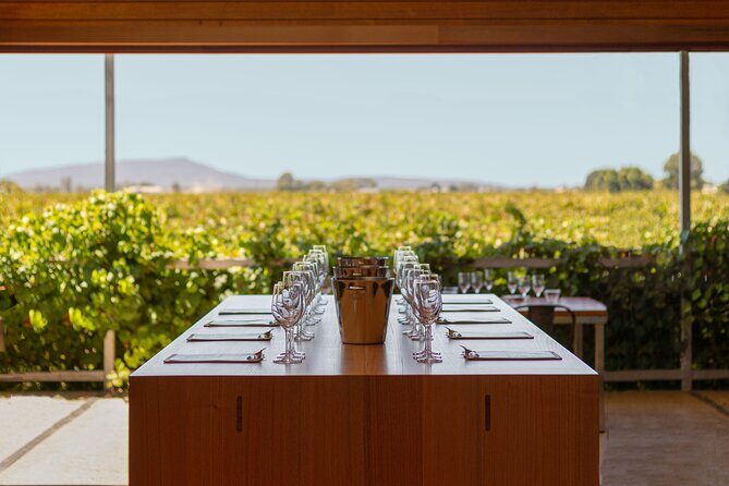 Wine Tasting Experience - The Sum Up: A Genuine and Affordable Wine Experience