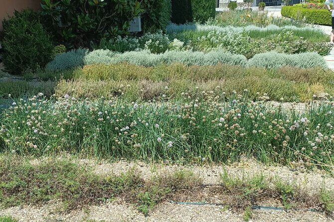 Wine Tasting Experience from Thessaloniki - Starting Point and Logistics