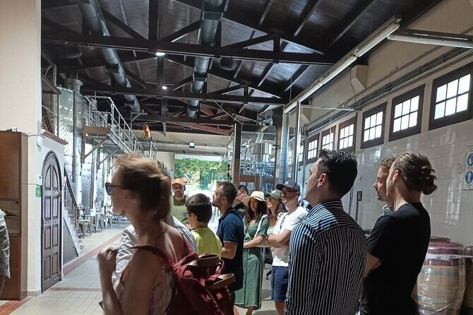 Wine Tasting Experience from Thessaloniki - The Vineyard and Museum Experience