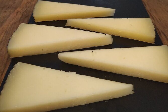 Wine Tasting Experience in Barcelona - What to Expect from the Wine Tasting Experience