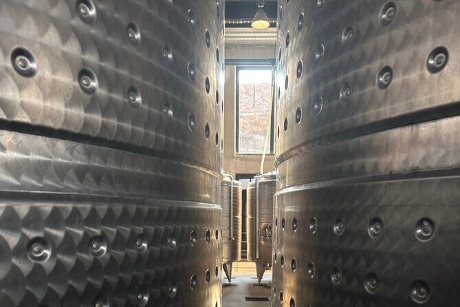 Wine Tasting experience in San Miguel de Allende - Final Thoughts