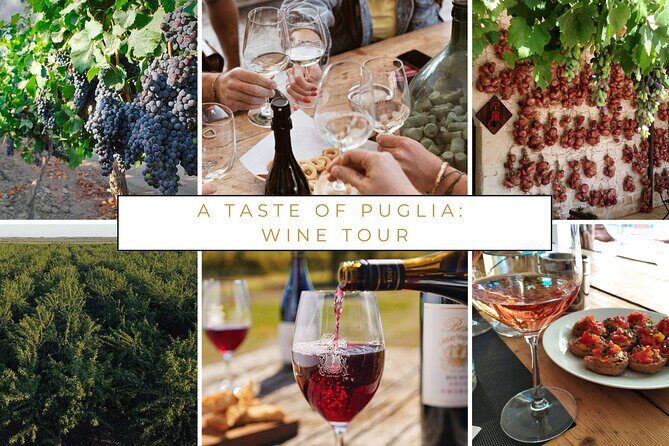 Wine tasting experience in the Apulian countryside - FAQ Section