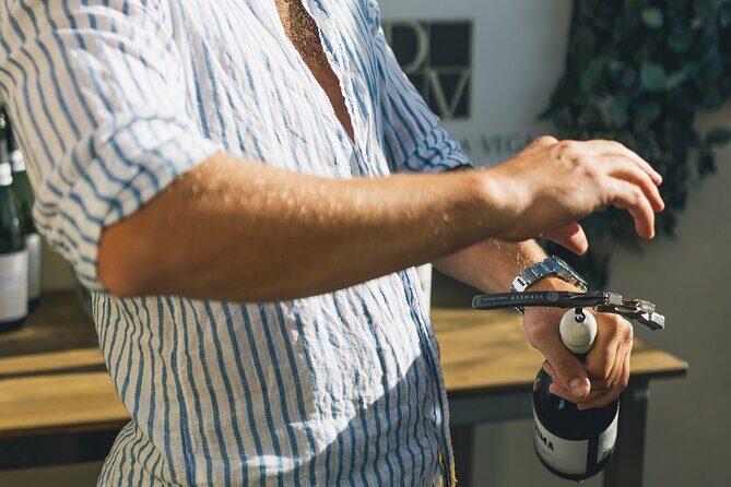 Wine Tasting Experience with a Professional Sommelier in Valencia City Center - A Deep Dive into the Experience